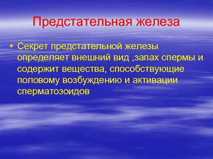   Предстательная железа § Секрет предстательной железы  определяет внешний вид , запах