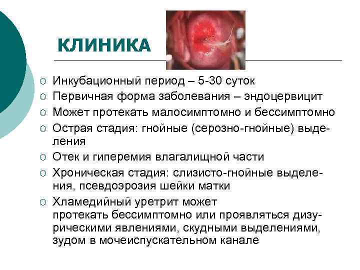   КЛИНИКА ¡  Инкубационный период – 5 -30 суток ¡  Первичная