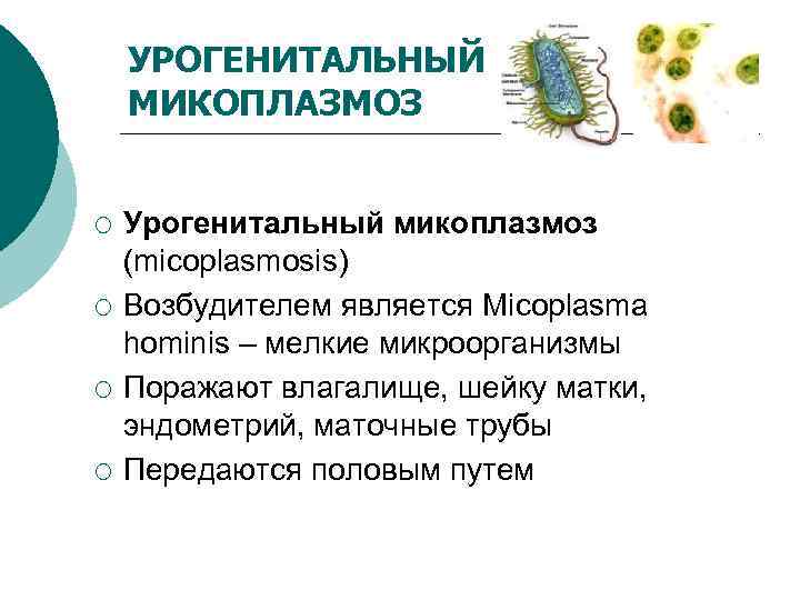Микоплазма как передается. Урогенитальный микоплазмоз микроорганизмы. Урогенитальный микоплазмоз микробиология. Урогенитальный микоплазмоз эпидемиология. Микоплазмы являются возбудителями.