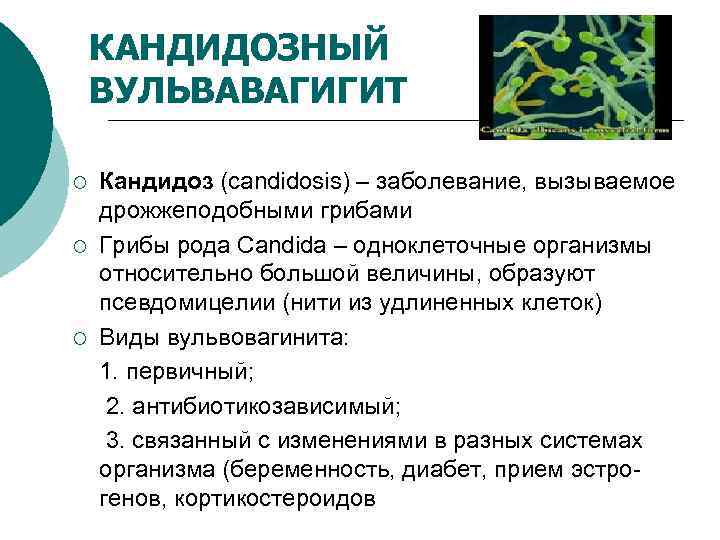   КАНДИДОЗНЫЙ ВУЛЬВАВАГИГИТ ¡  Кандидоз (candidosis) – заболевание, вызываемое дрожжеподобными грибами ¡