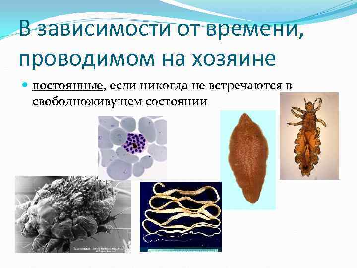 В зависимости от времени, проводимом на хозяине постоянные, если никогда не встречаются в В зависимости от времени, проводимом на хозяине постоянные, если никогда не встречаются в