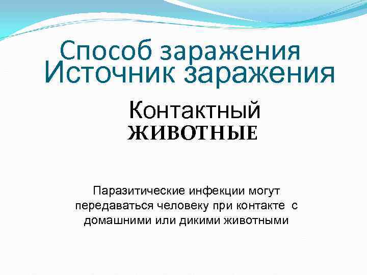 Способ заражения Источник заражения Контактный ЖИВОТНЫЕ Паразитические инфекции могут Способ заражения Источник заражения Контактный ЖИВОТНЫЕ Паразитические инфекции могут