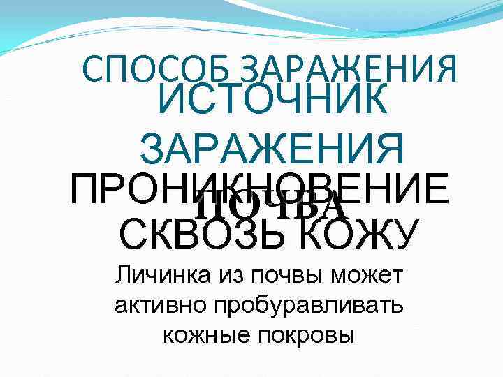 СПОСОБ ЗАРАЖЕНИЯ ИСТОЧНИК ЗАРАЖЕНИЯ ПРОНИКНОВЕНИЕ ПОЧВА СКВОЗЬ КОЖУ Личинка из почвы может СПОСОБ ЗАРАЖЕНИЯ ИСТОЧНИК ЗАРАЖЕНИЯ ПРОНИКНОВЕНИЕ ПОЧВА СКВОЗЬ КОЖУ Личинка из почвы может