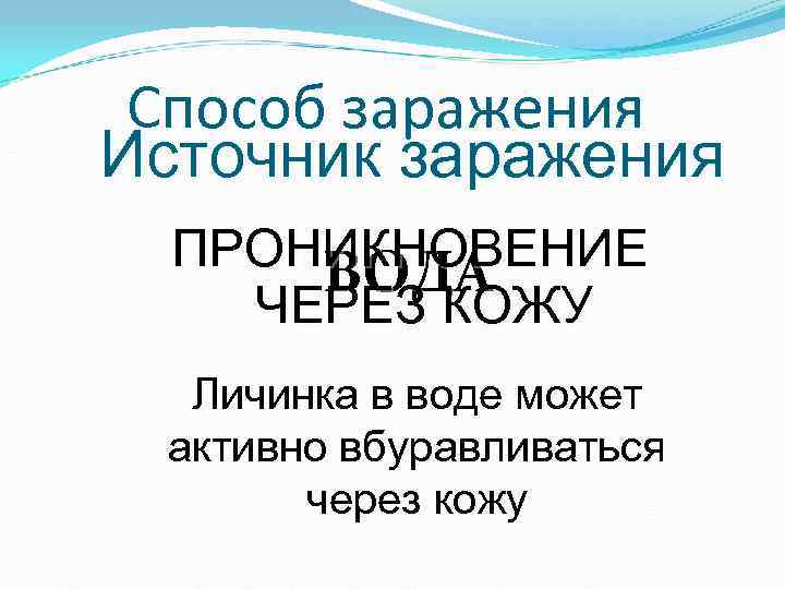 Способ заражения Источник заражения ПРОНИКНОВЕНИЕ ВОДА ЧЕРЕЗ КОЖУ Личинка в Способ заражения Источник заражения ПРОНИКНОВЕНИЕ ВОДА ЧЕРЕЗ КОЖУ Личинка в