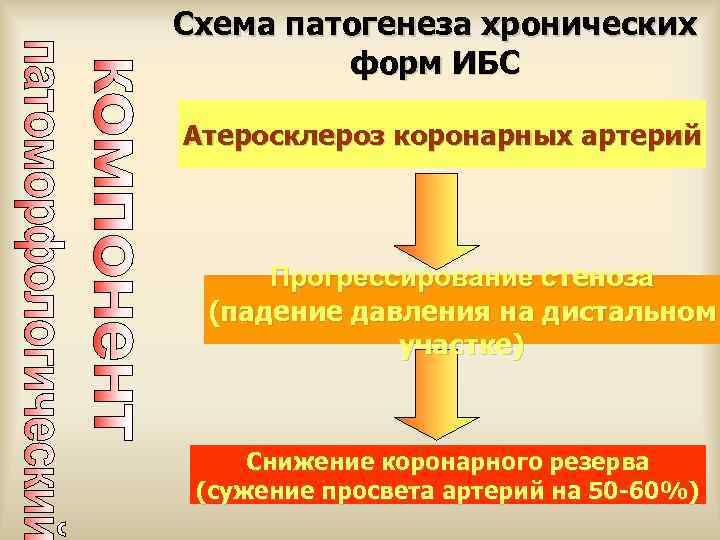 Схема патогенеза хронических   форм ИБС Атеросклероз коронарных артерий   Прогрессирование стеноза