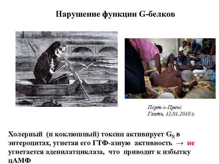   Нарушение функции G-белков       Порт-о-Пренс  