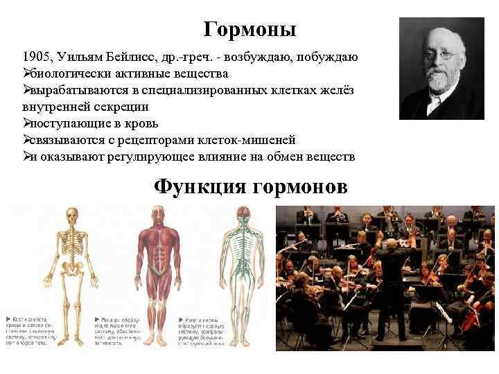       Гормоны 1905, Уильям Бейлисс, др. -греч. - возбуждаю,