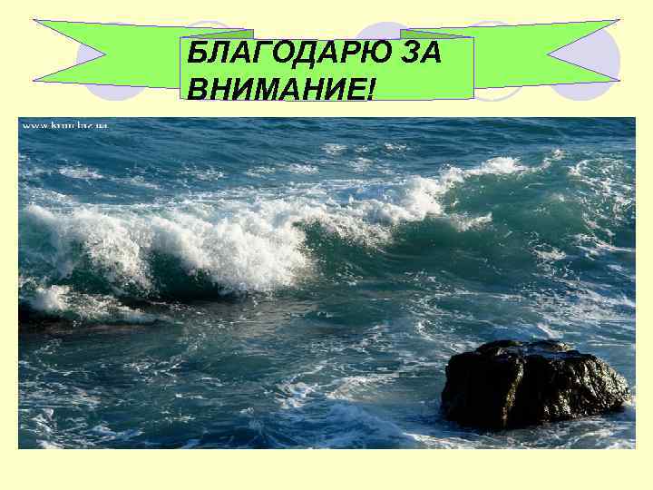 БЛАГОДАРЮ ЗА ВНИМАНИЕ! 