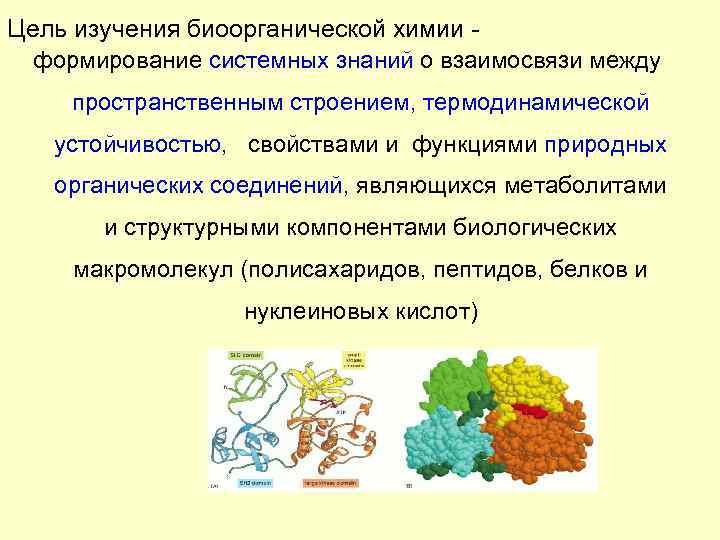 Цель изучения биоорганической химии -  формирование системных знаний о взаимосвязи между  пространственным