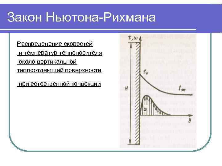 Название основного закона конвективного теплообмена открытого учеными представленными на рисунке