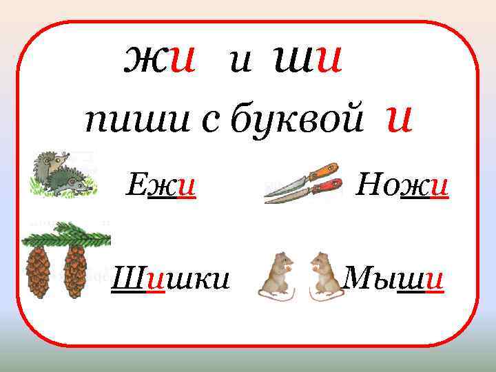 Ши ши литвин текст. Правило жи ши. Жи-ши правило в картинках. Жи ши с буквой и. Правила жи ши пиши с буквой и.