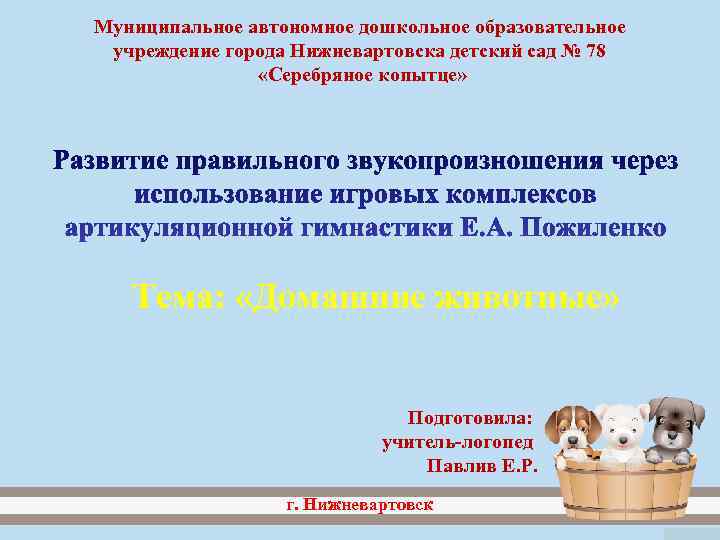 Муниципальное автономное дошкольное образовательное  учреждение города Нижневартовска детский сад № 78  