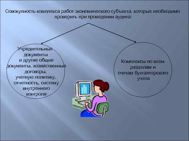 Совокупность комплекса работ экономического субъекта, которые необходимо     проверить при проведении