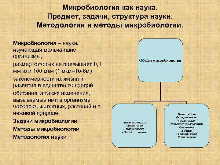    Микробиология как наука.  Предмет, задачи, структура науки.   Методология