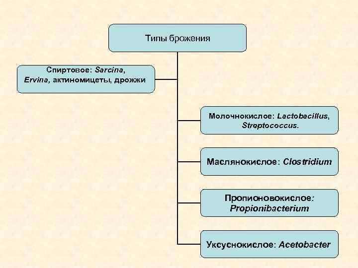       Типы брожения   Спиртовое: Sarcina, Ervina, актиномицеты,