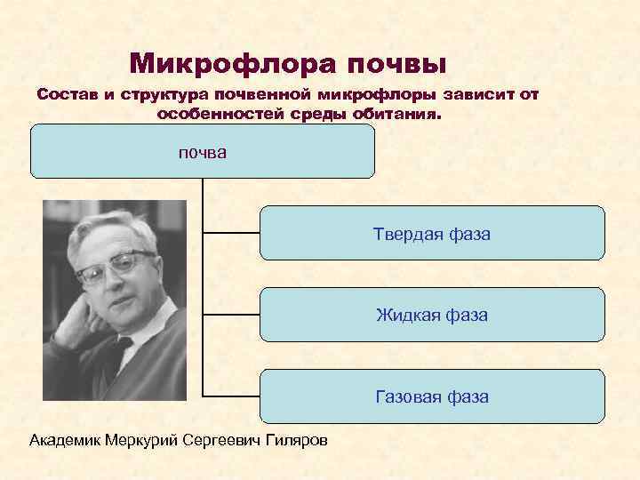   Микрофлора почвы Состав и структура почвенной микрофлоры зависит от   особенностей