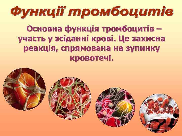  Основна функція тромбоцитів – участь у зсіданні крові. Це захисна реакція, спрямована на