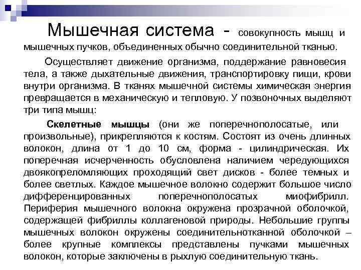   Мышечная система -    совокупность мышц и мышечных пучков, объединенных