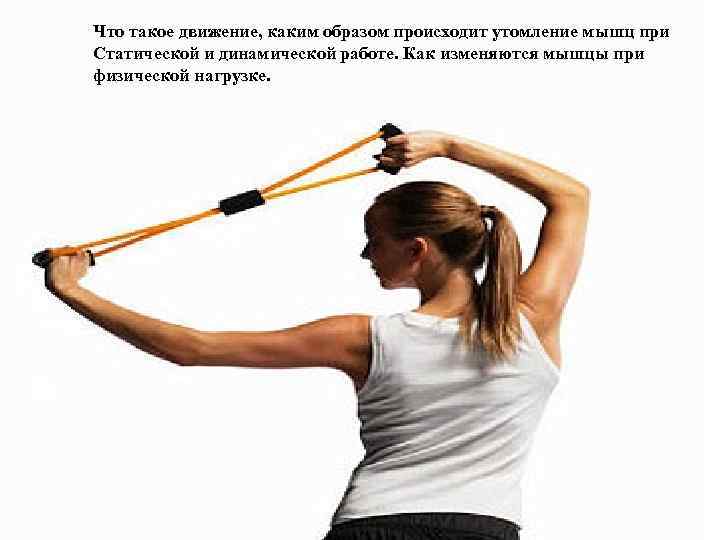  Что такое движение, каким образом происходит утомление мышц при Статической и динамической работе.