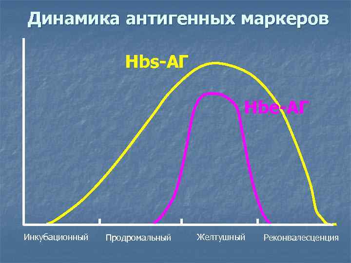 Динамика антигенных маркеров     Hbs-АГ      