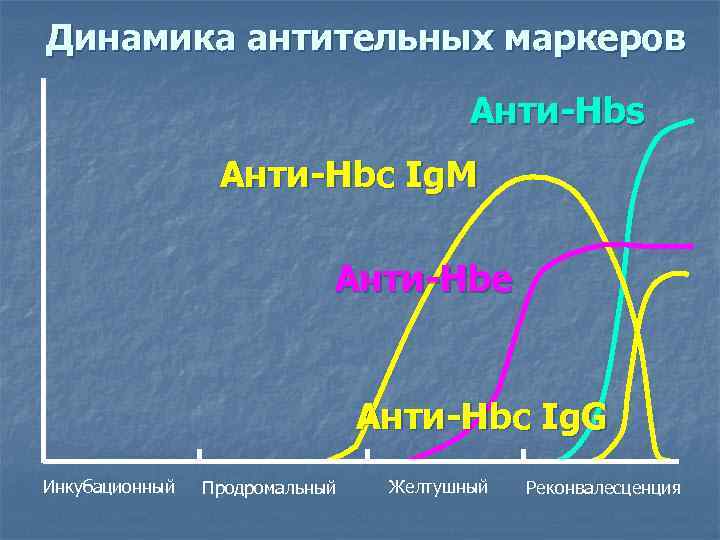 Динамика антительных маркеров       Анти-Hbs   Анти-Hbc Ig.