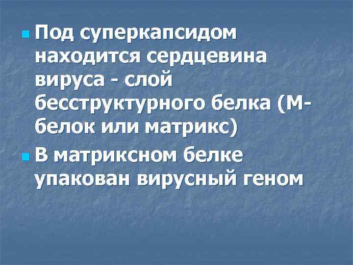n Под суперкапсидом  находится сердцевина  вируса - слой  бесструктурного белка (М-