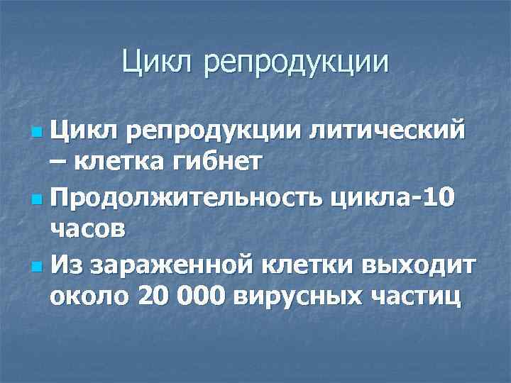  Цикл репродукции n Цикл репродукции литический  – клетка гибнет n Продолжительность цикла-10
