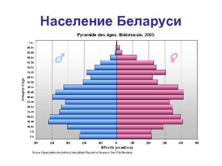 Население Беларуси 