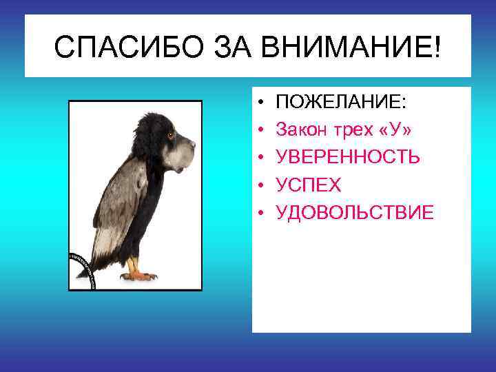 СПАСИБО ЗА ВНИМАНИЕ!  •  ПОЖЕЛАНИЕ:   •  Закон трех «У»