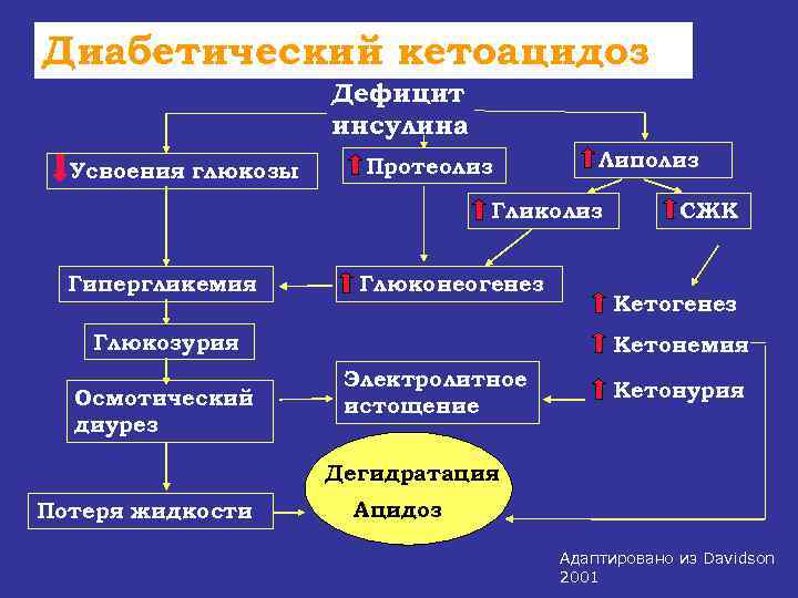 Диабетический кетоацидоз     Дефицит     инсулина  Усвоения