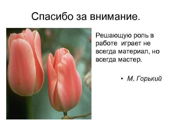 Спасибо за внимание.   • Решающую роль в   работе играет не