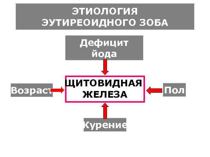    ЭТИОЛОГИЯ ЭУТИРЕОИДНОГО ЗОБА   Дефицит    йода 