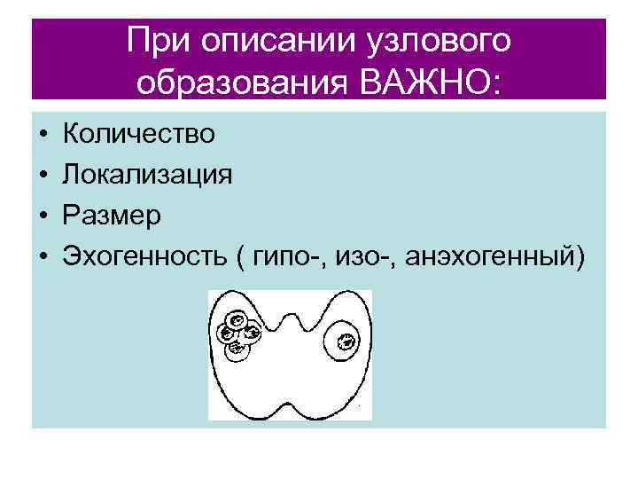   При описании узлового   образования ВАЖНО:  •  Количество •