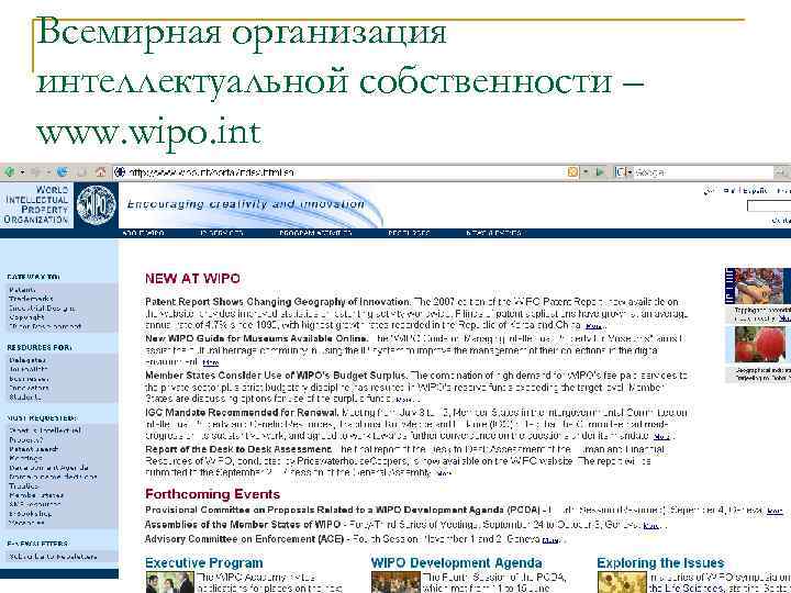 Всемирная организация интеллектуальной собственности – www. wipo. int 