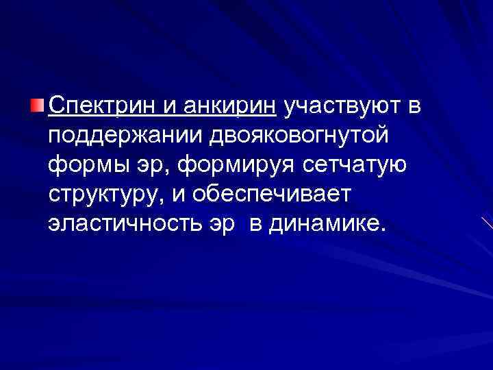 Спектрин и анкирин участвуют в поддержании двояковогнутой формы эр, формируя сетчатую структуру, и обеспечивает