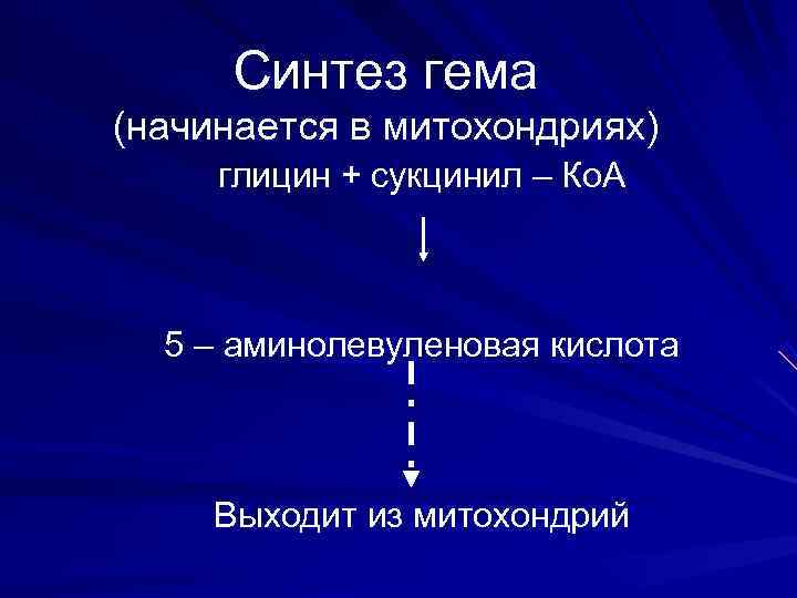  Синтез гема (начинается в митохондриях) глицин + сукцинил – Ко. А 5 –