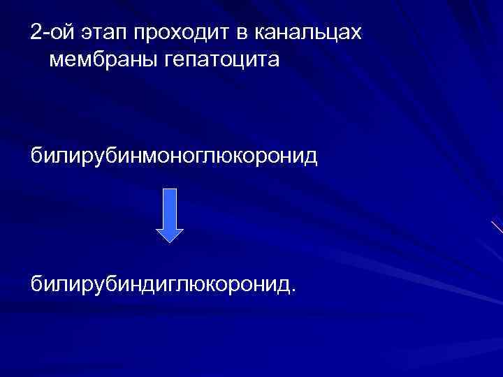 2 -ой этап проходит в канальцах  мембраны гепатоцита  билирубинмоноглюкоронид билирубиндиглюкоронид. 