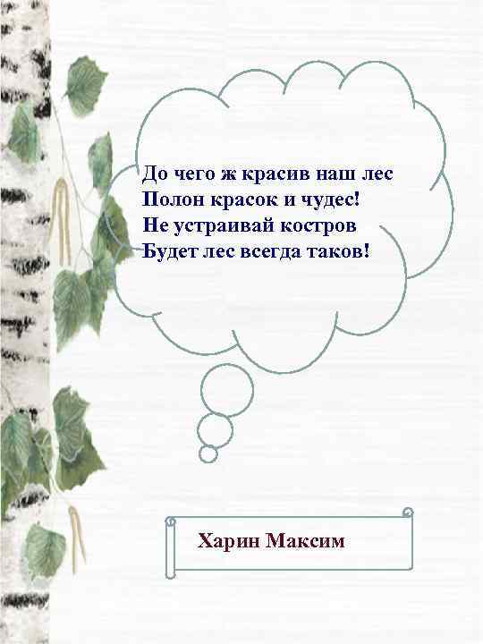 До чего ж красив наш лес Полон красок и чудес! Не устраивай костров Будет