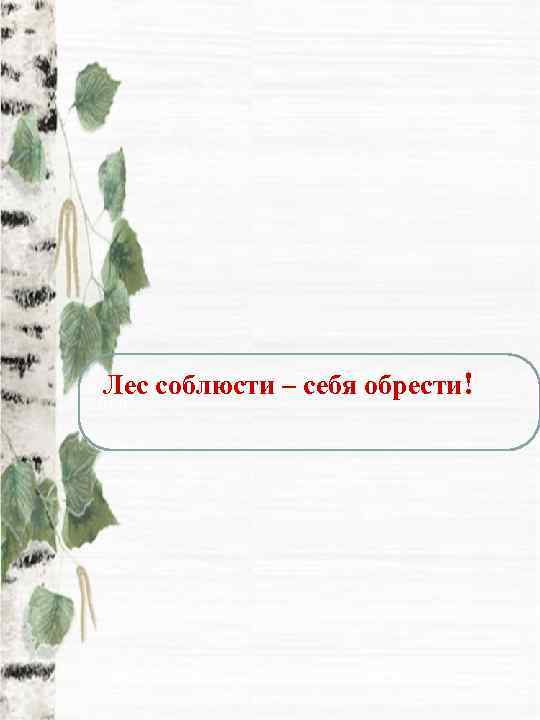 Лес соблюсти – себя обрести! Ле. Л 