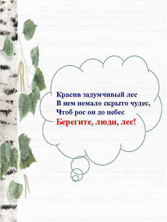 Красив задумчивый лес В немало скрыто чудес, Чтоб рос он до небес Берегите, люди,