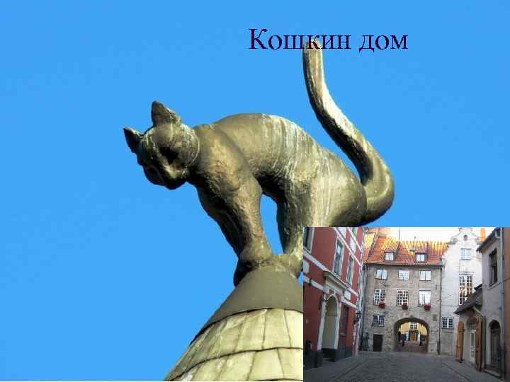 Кошкин дом 