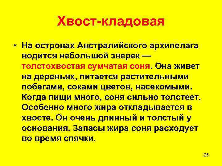    Хвост-кладовая • На островах Австралийского архипелага  водится небольшой зверек —