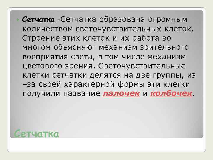   Сетчатка -Сетчатка образована огромным количеством светочувствительных клеток. Строение этих клеток и их