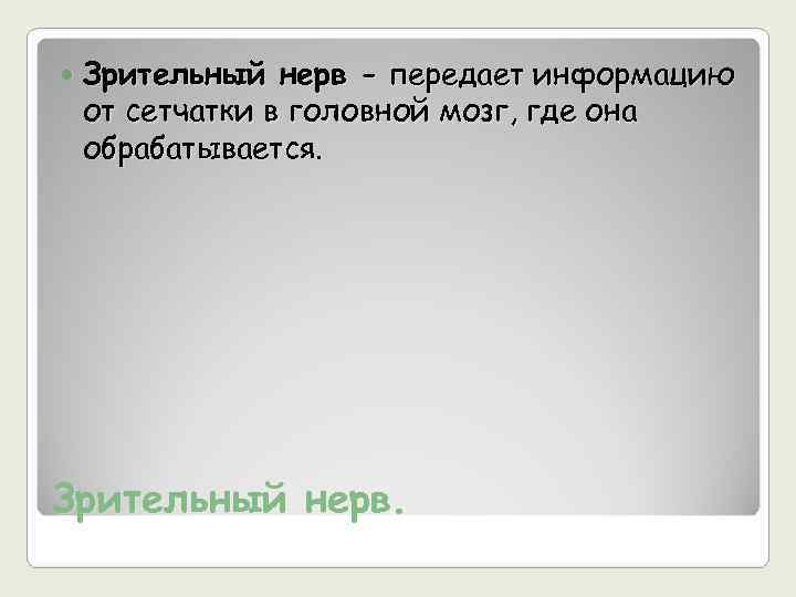   Зрительный нерв - передает информацию от сетчатки в головной мозг, где она