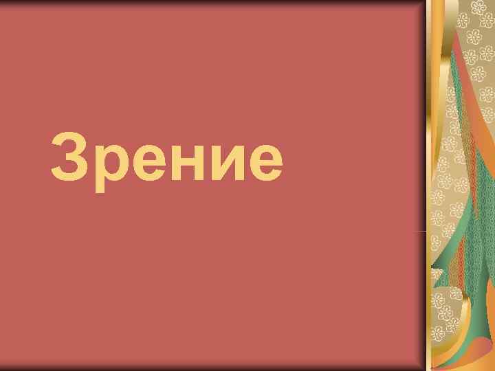 Зрение 