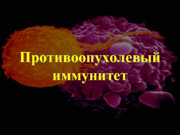 Противоопухолевый иммунитет 