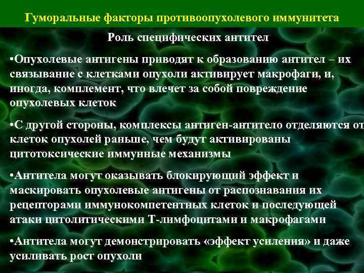 Гуморальные факторы противоопухолевого иммунитета   Роль специфических антител • Опухолевые антигены приводят