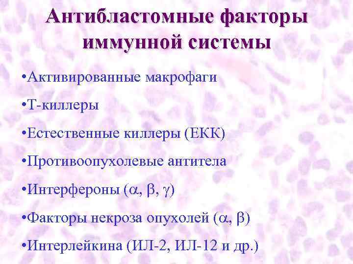   Антибластомные факторы  иммунной системы • Активированные макрофаги • Т-киллеры • Естественные