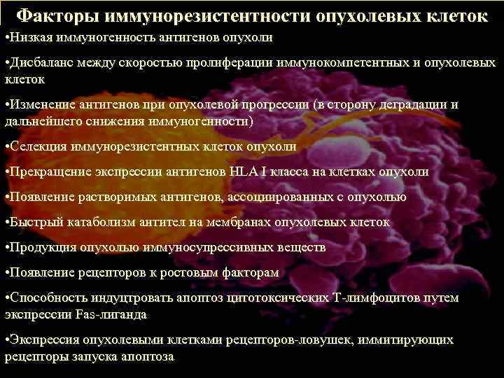  Факторы иммунорезистентности опухолевых клеток • Низкая иммуногенность антигенов опухоли • Дисбаланс между скоростью