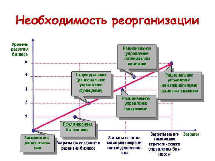 Управление изменениями в организации образования. Этап процедуры реорганизации. Реорганизация предприятия.